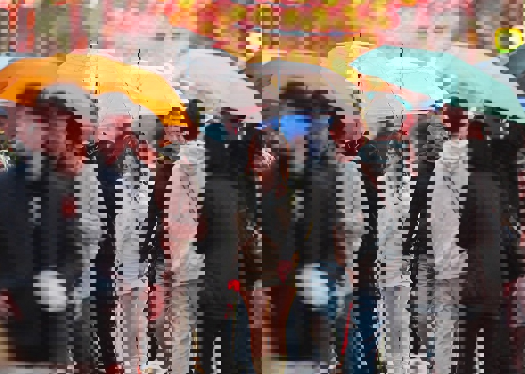 台北「降到0度」成笑話 專家曝預報基本常識