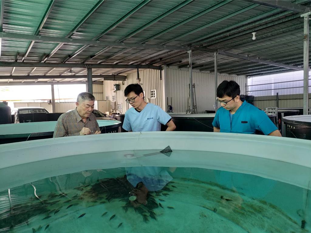 立春放魚苗怕賠錢?養殖達人親傳這招:育成率提升近2成