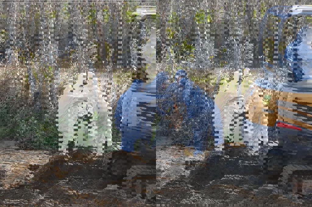 豐康畜牧場涉隱匿禽流感恐害全國 負責人凌晨遭羈押禁見