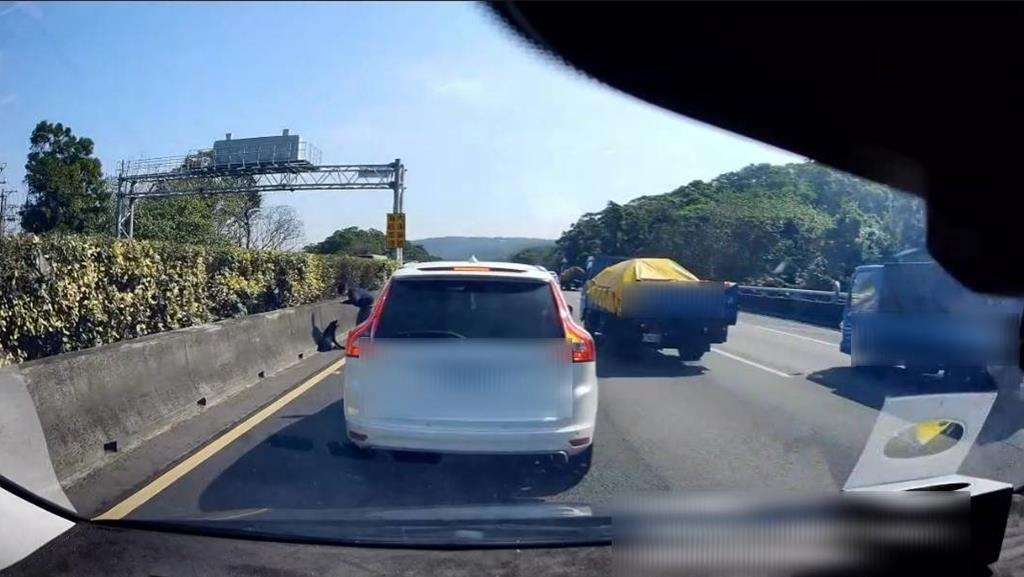 國1北上湖口路段3日有民眾突然煞停為了抓路肩的狗，讓後方車輛駕駛頭痛。（國道警提供／邱立雅竹縣傳真）
