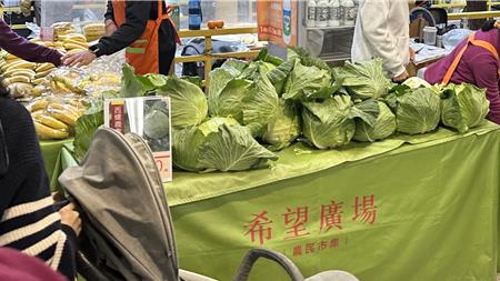 春節蔬果供應大增3成農業部：價格跌多漲少