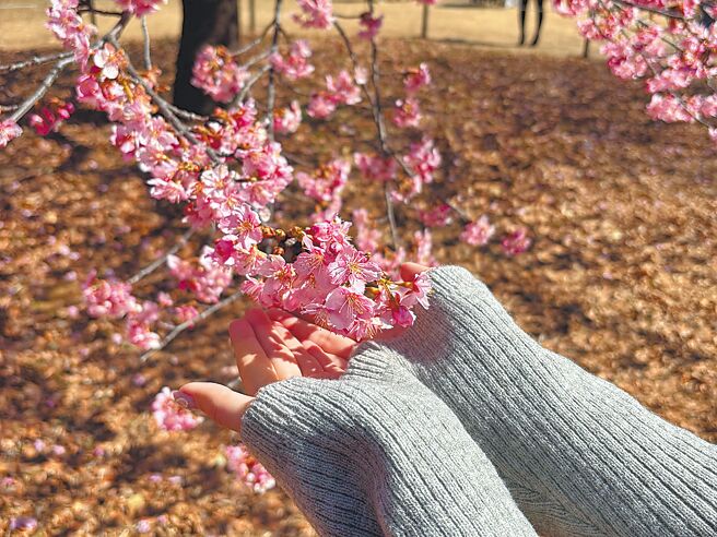 立春養生：讓身體重新對齊節律