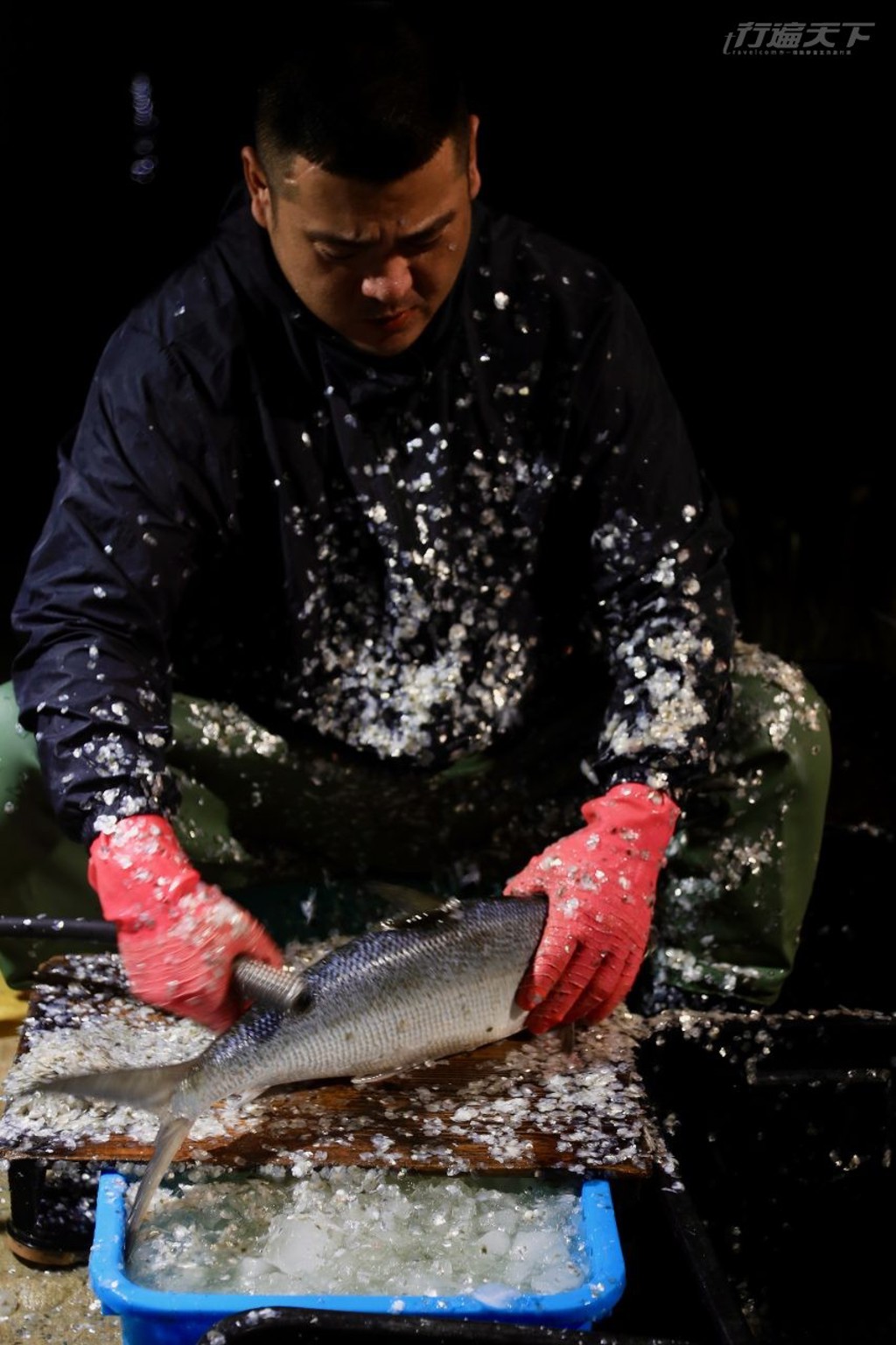 虱目魚魚鱗很硬,因此上岸後,有些會依訂購者需求立即以電動機器去鱗,去鱗畫面很療癒,而去鱗工人也很快全身沾滿魚鱗。(行遍天下提供/圖:陳志東)