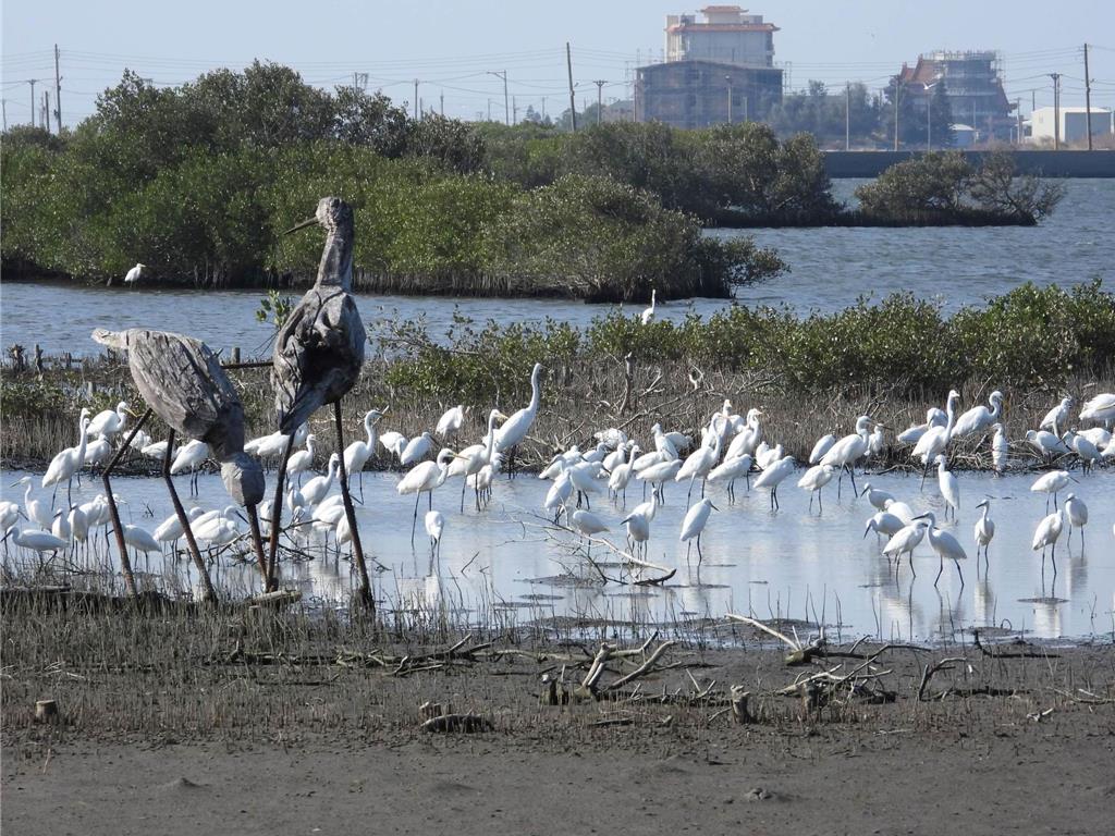 雲林推動口湖溼地標章認證 攜手產業守護生態環境