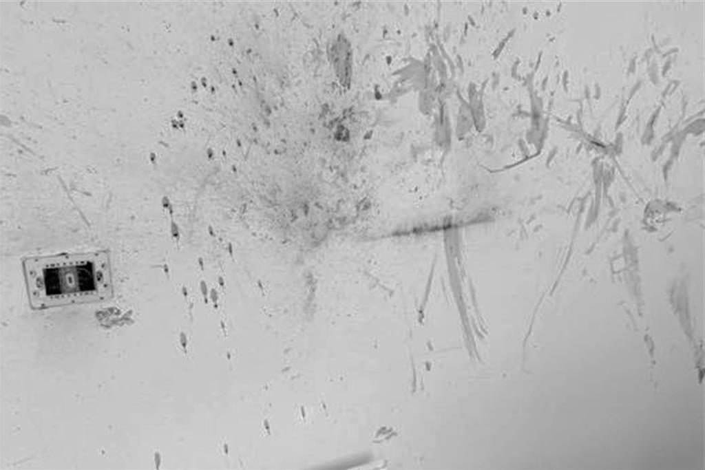 包裹爆炸案!宜蘭警:針對性犯案 採機械裝置引爆