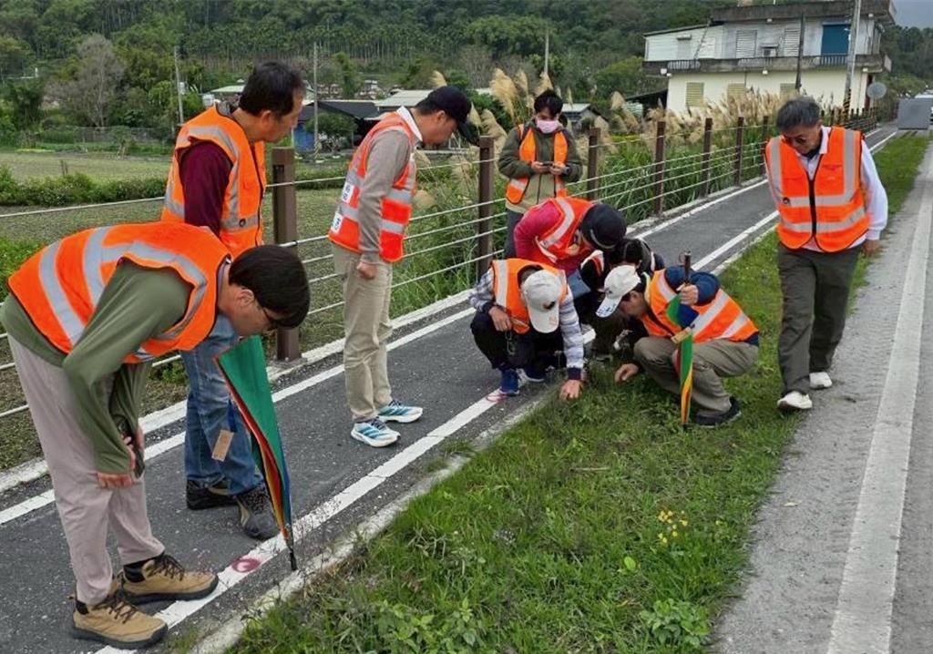 紅火蟻入侵台9線!花蓮占省道5成 公路局地毯式巡查防堵