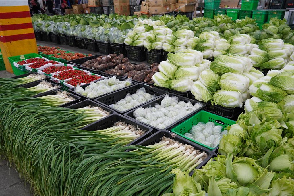 觀光冷清衝擊花蓮春節菜價 娃娃菜打對折、蒜苗跌破百元