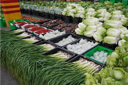 花蓮春節菜價大跳水娃娃菜對折蒜苗跌破百元