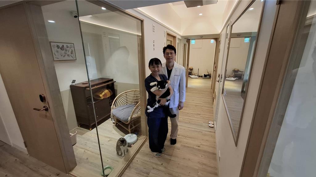 出國潮衝擊!觀光旅館春節業績慘 寵物旅館逆勢夯