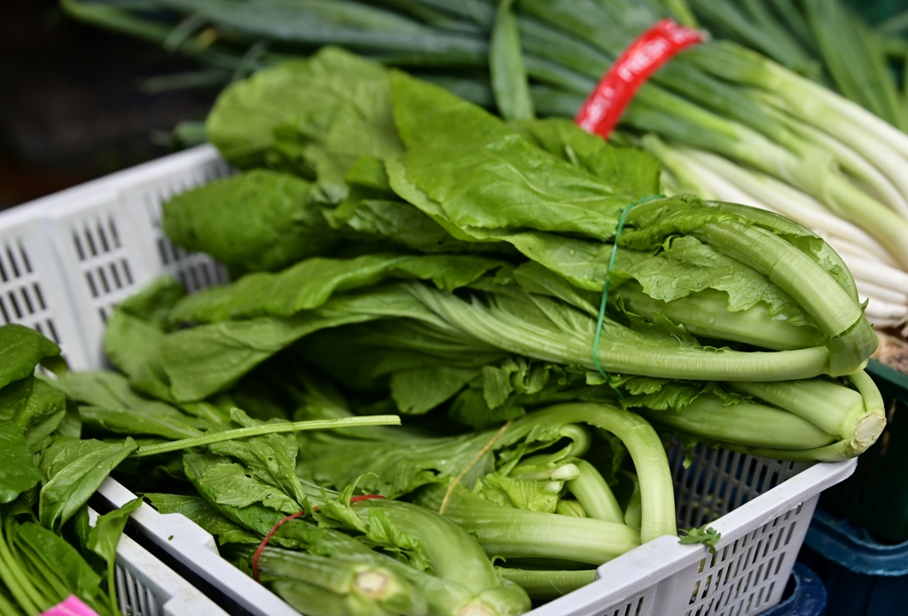 「長年菜」好威!解毒又穩血糖 醫教強化吃法