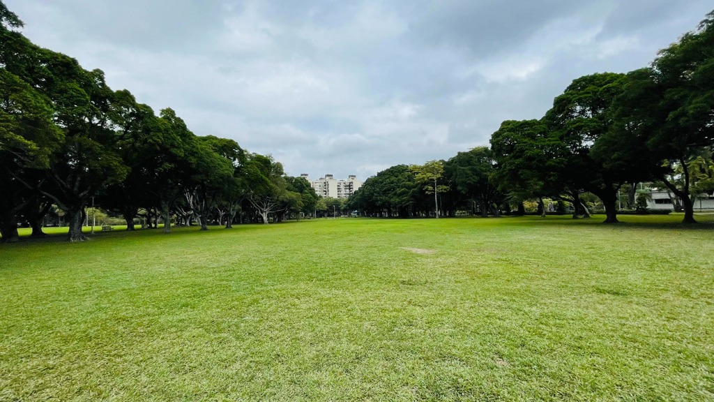 青年公園的果嶺草皮。(施景耀 攝)