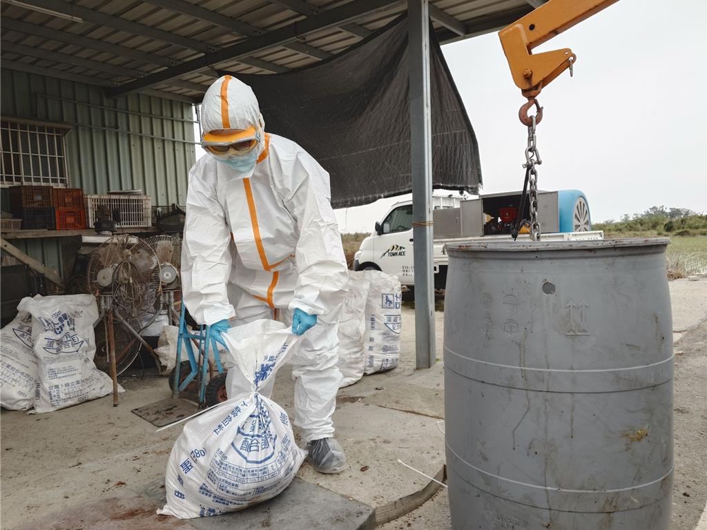 台南蛋雞場確診禽流感 動保處撲殺336隻防堵疫情