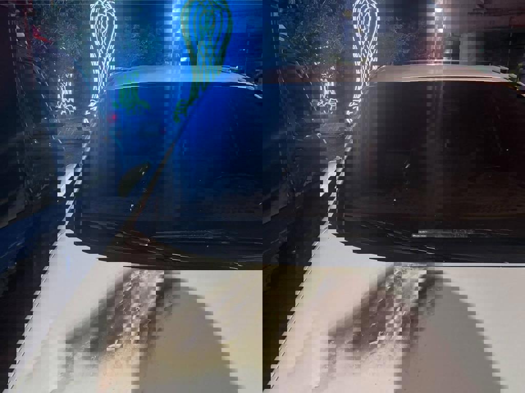 男子林邊火車站旁丟汽油彈燒毀多車 再持刀闖派出所前超商搶劫