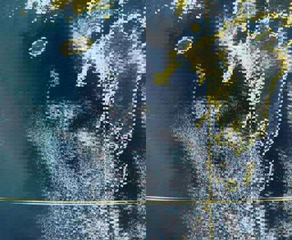 濟州島上空出現「666」 鄭明典直呼:卡門渦列很可愛