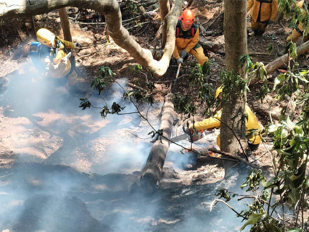 小年夜燒到初五!南投林火兩度「跳火」燒毀30公頃 原因待查