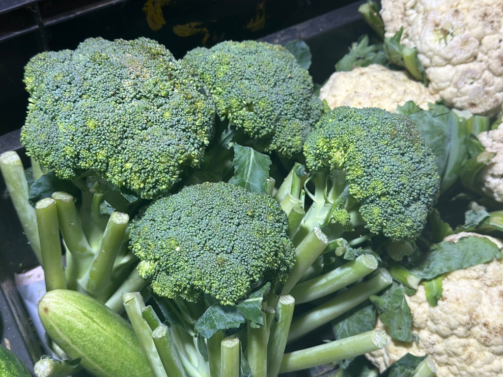 抗癌蔬菜青花菜最強吃法 清蒸5分鐘搭3配料