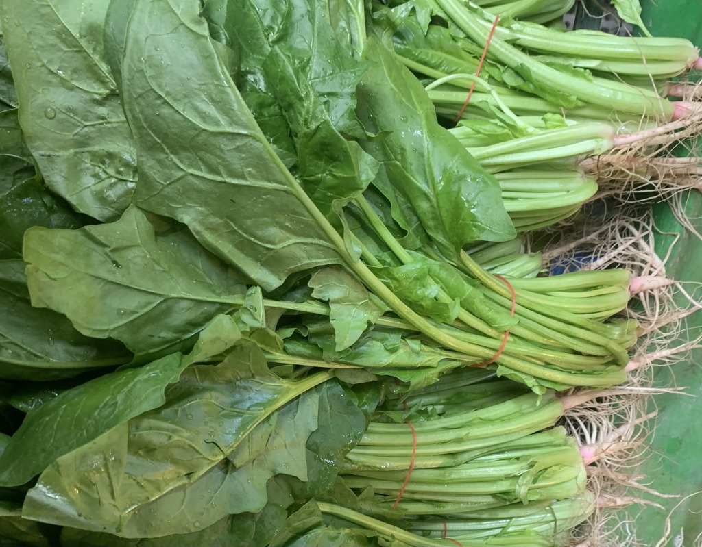 譚敦慈激推菠菜 補鈣又補鐵 2招去草酸