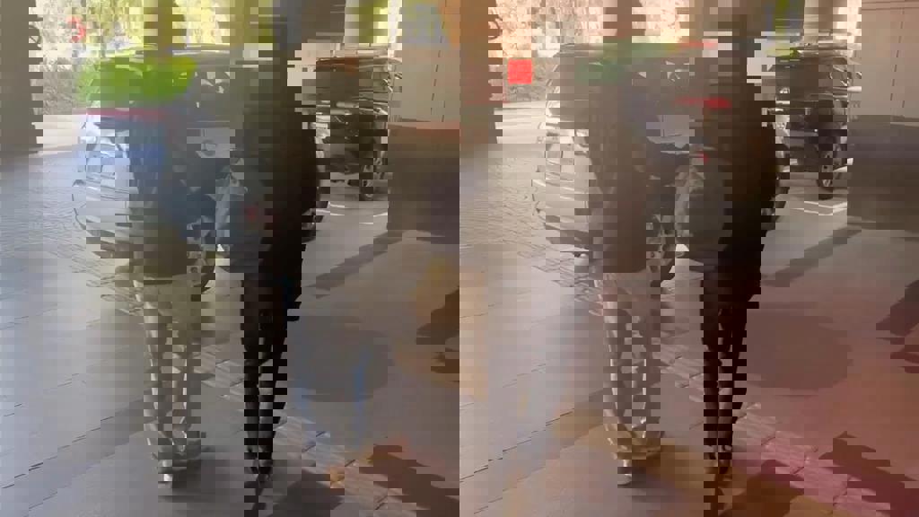 北車揮刀男疑患病 北院裁定安置6個月