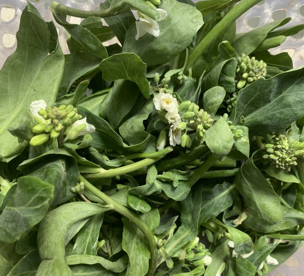 吃芥藍養生 名醫喊加糖讚:苦甘轉換更鮮甜