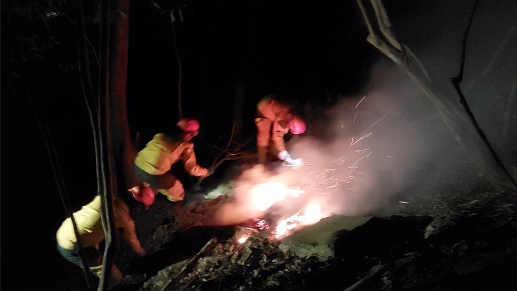 谷風旺盛!埔里森林大火死灰復燃 累計燒毀約40公頃林地