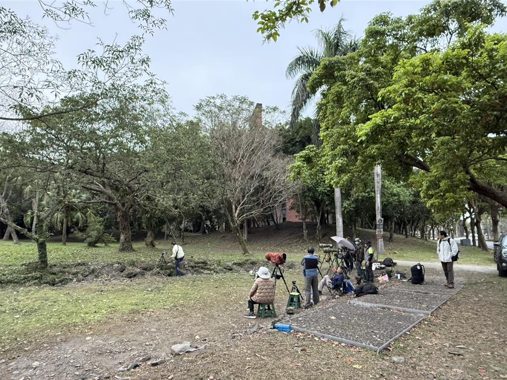 紅胸鶲現身宜蘭吸客 餵食、撥鳥音誘拍 引發生態疑慮