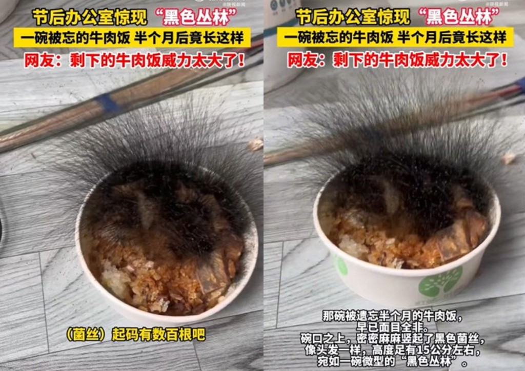 年假過後返工「大驚嚇」 遺忘的牛肉飯竟變異了