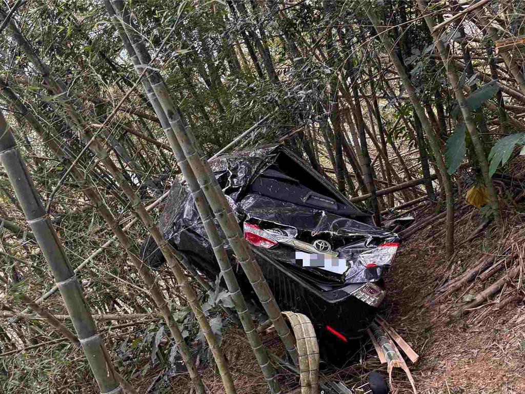 山路失控墜50公尺深懸崖! 知名藝術家謝東哲幸運獲救