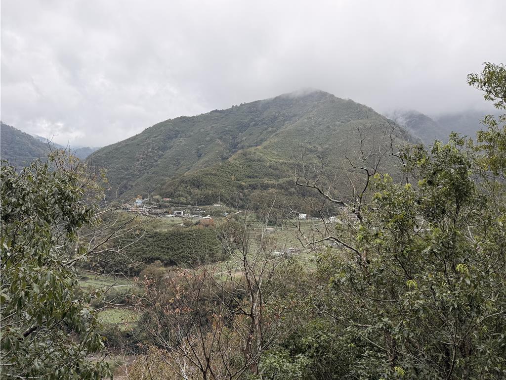 怕被家人罵!狠媽將剛出生女嬰棄山區 尋獲已明顯死亡