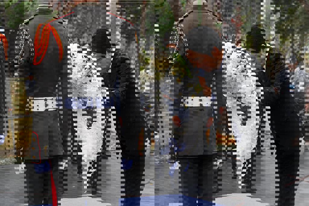 228紀念儀式播放愛情歌?受難者家屬轟「不尊敬」畫面曝