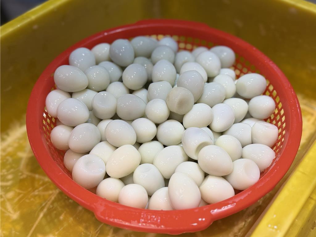 過年缺蛋效應退燒 鵪鶉蛋價回落夏季恐再降