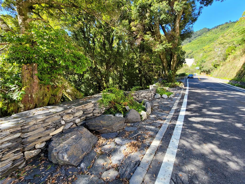 公路也能賞美景!南橫、新烏公路獲台灣景觀大獎