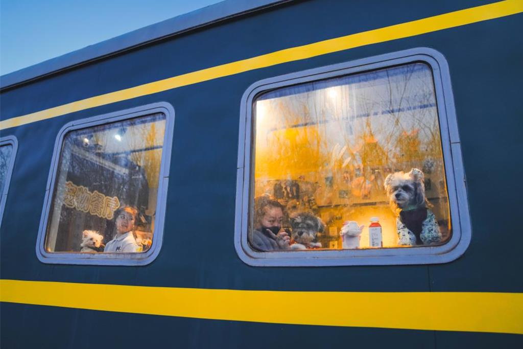 山西原料+山東技術 瞄準寵物「上兆」舌尖經濟