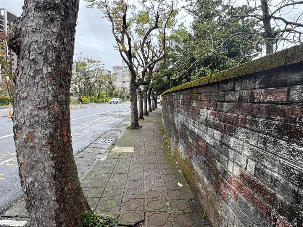 桃園雙龍國小建置通學廊道 減少與車爭道