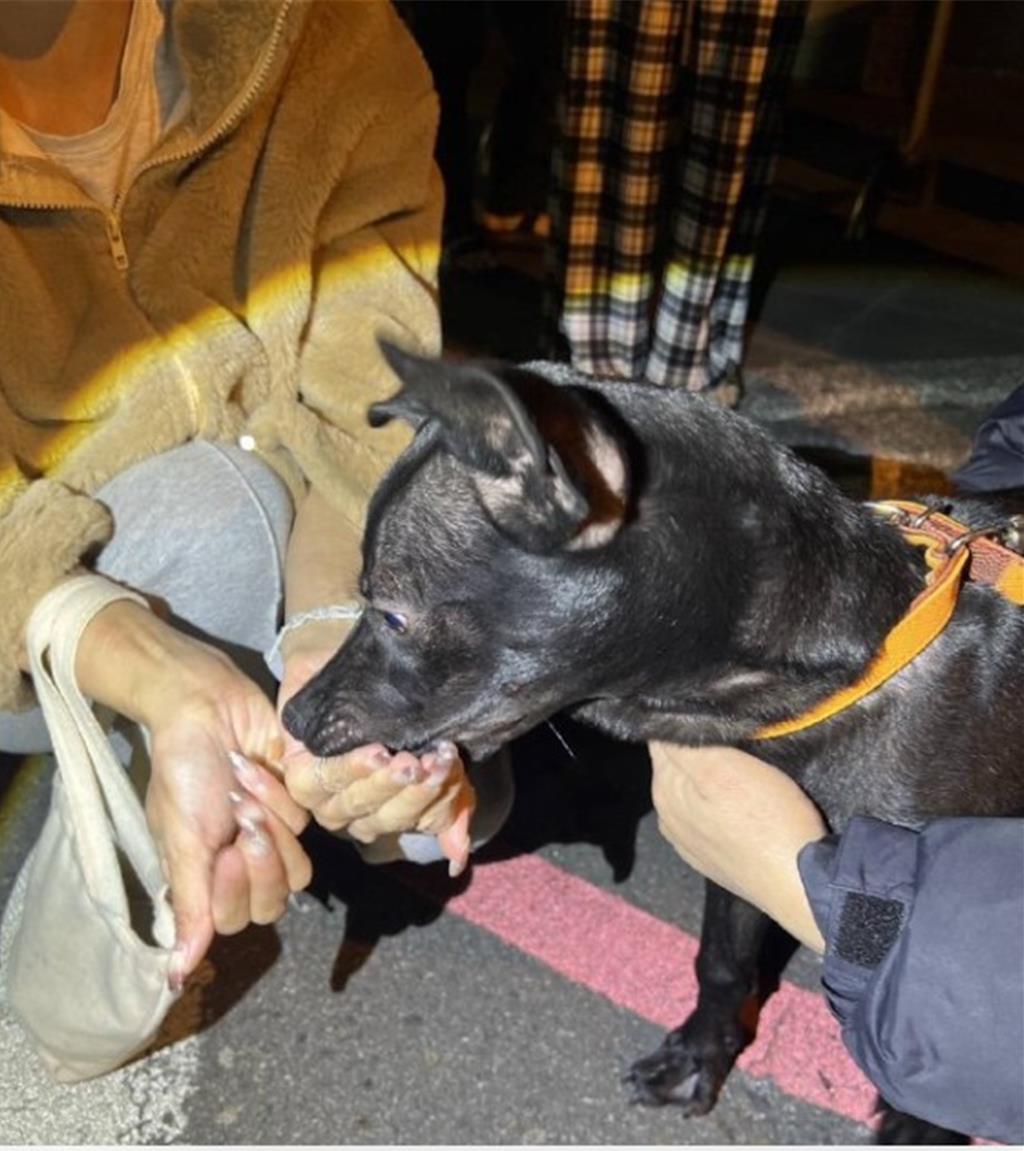北屯虐狗男惡劣行徑再一樁!作勢「菸燙」小黑狗 這回栽了