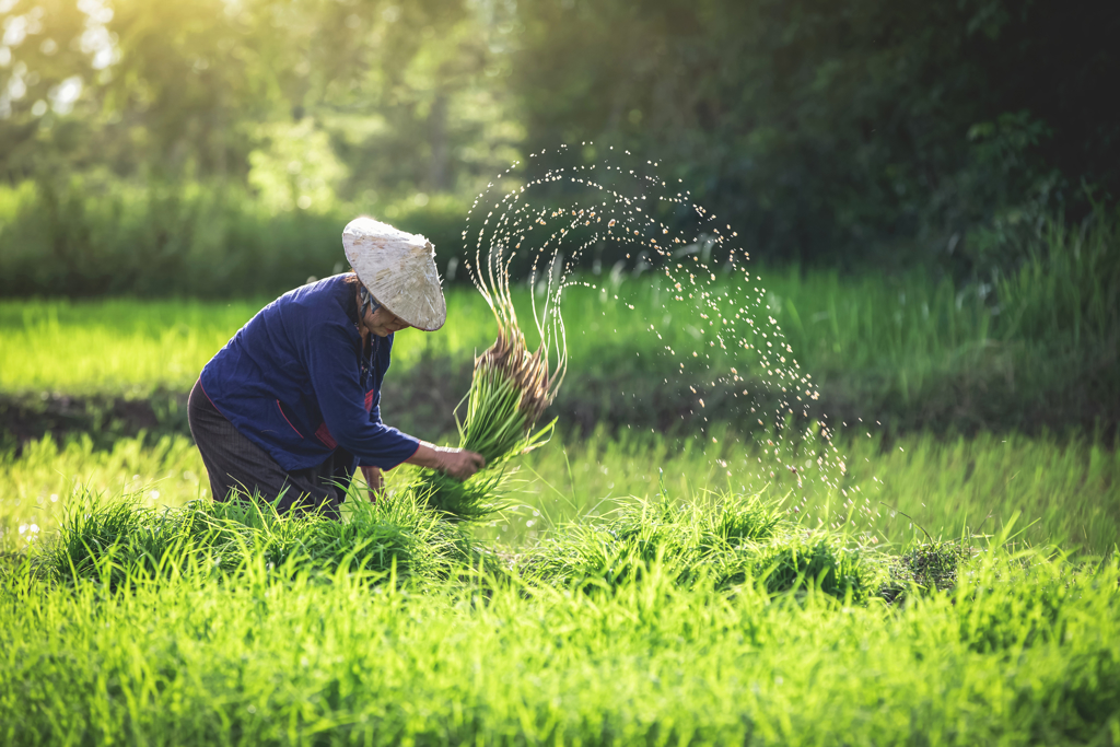 陸城鄉差距驚心 農村老人的「數位困境」比缺錢更可怕