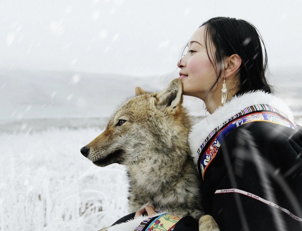 看大陸》人這一輩子,一定要去一趟若爾蓋!