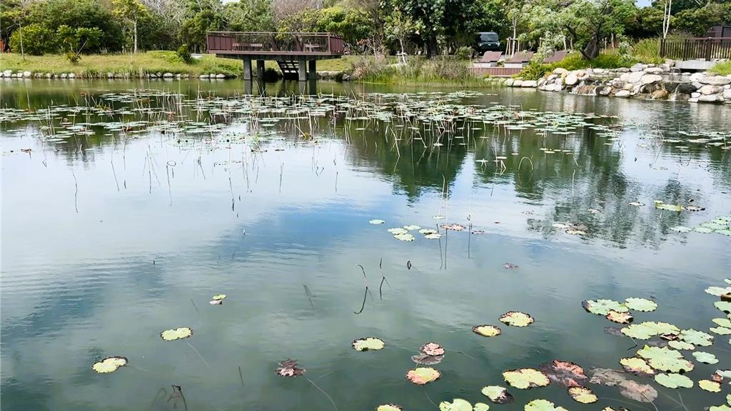 放生變殺生!台東森林公園又見外來種