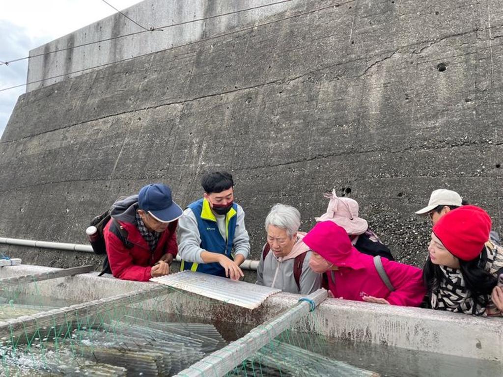 在貢寮海洋復育園區可近距離觀察超萌「九孔寶寶」。　圖：新北市政府漁業及漁港事業管理處／提供